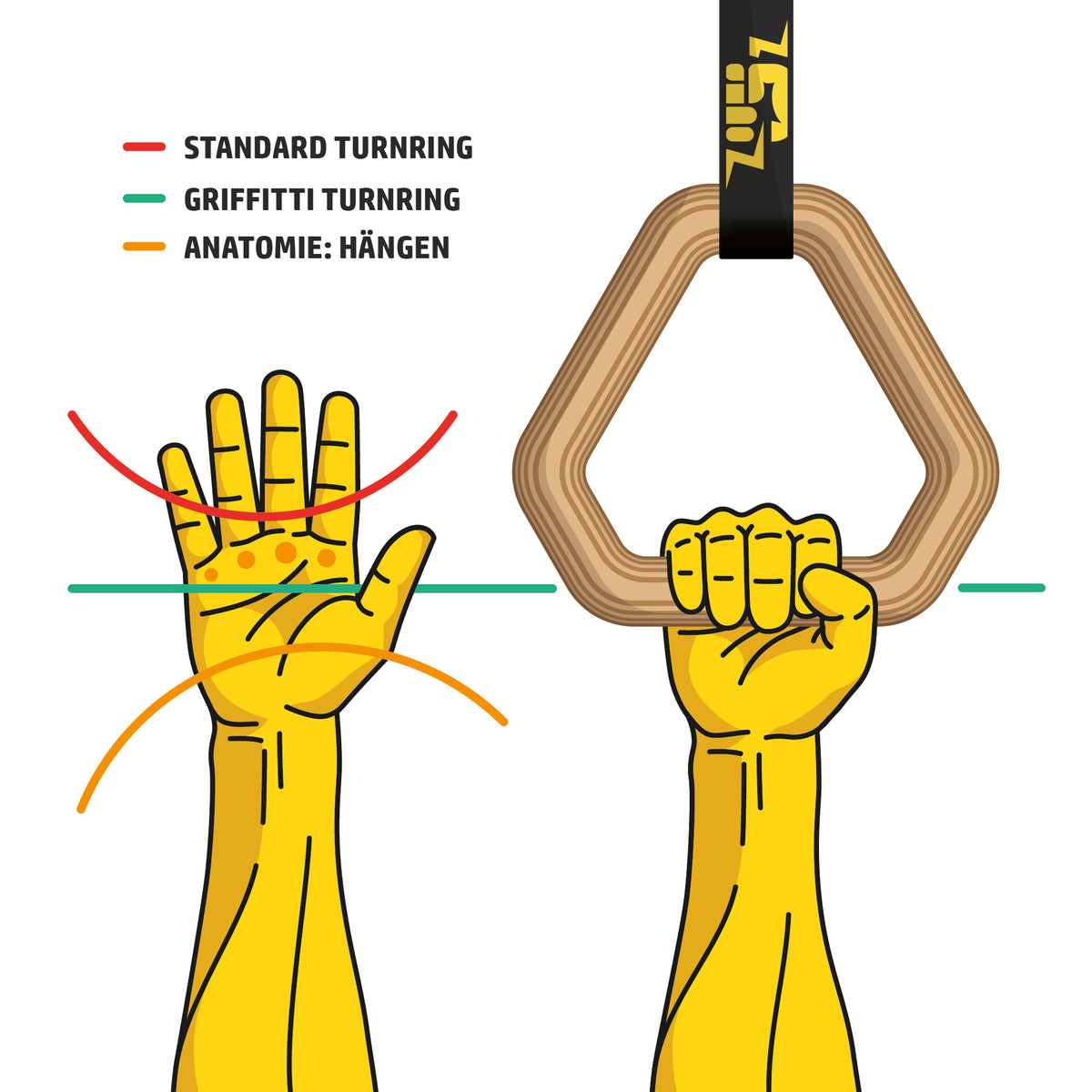Illustration der Handanatomie beim Hängen: Standard-Turnring im Vergleich zum GRIFFITTI Triangel-Ring