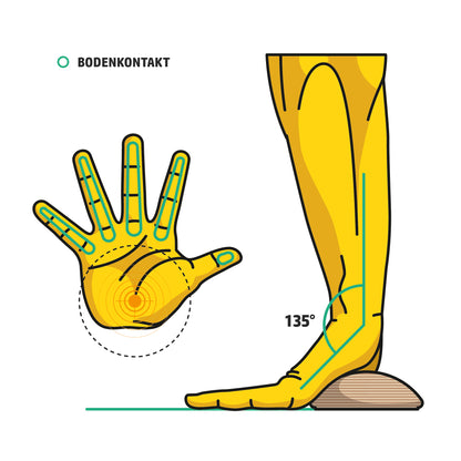 Illustration: Handballen auf der Handscheibe „Steil“, Handgelenkwinkel 135 Grad